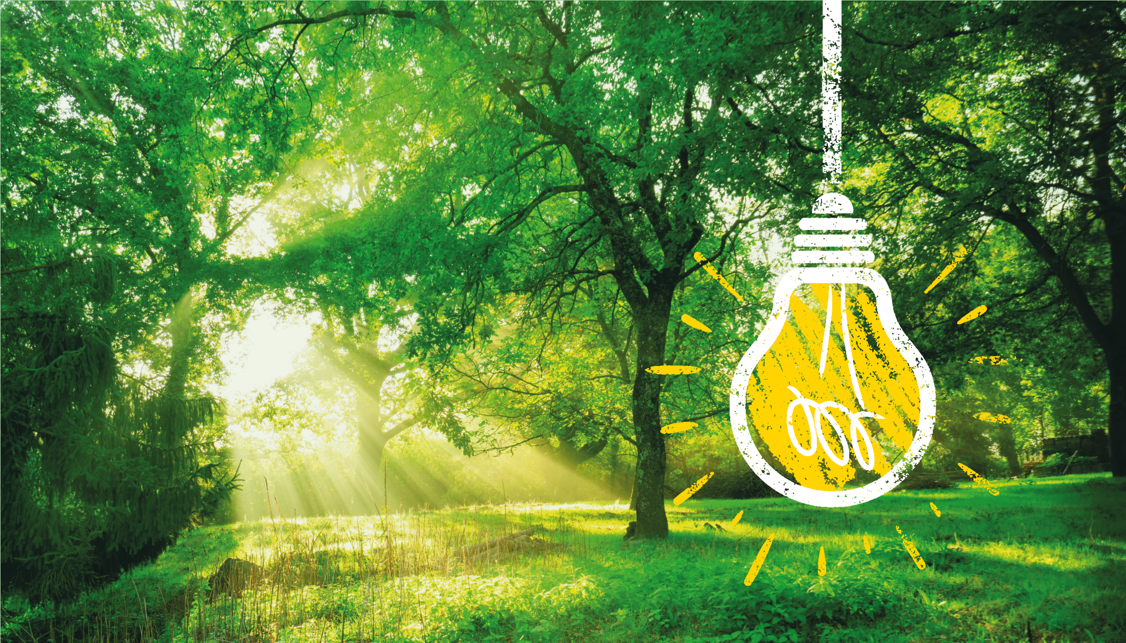 Elektro Schartner - Photovoltaik Beratung